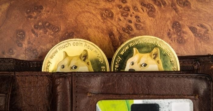 照片中提到了much、wOw muc、ency wow,包含了柴犬、柴犬、狗狗幣、柴犬硬幣、加密貨幣