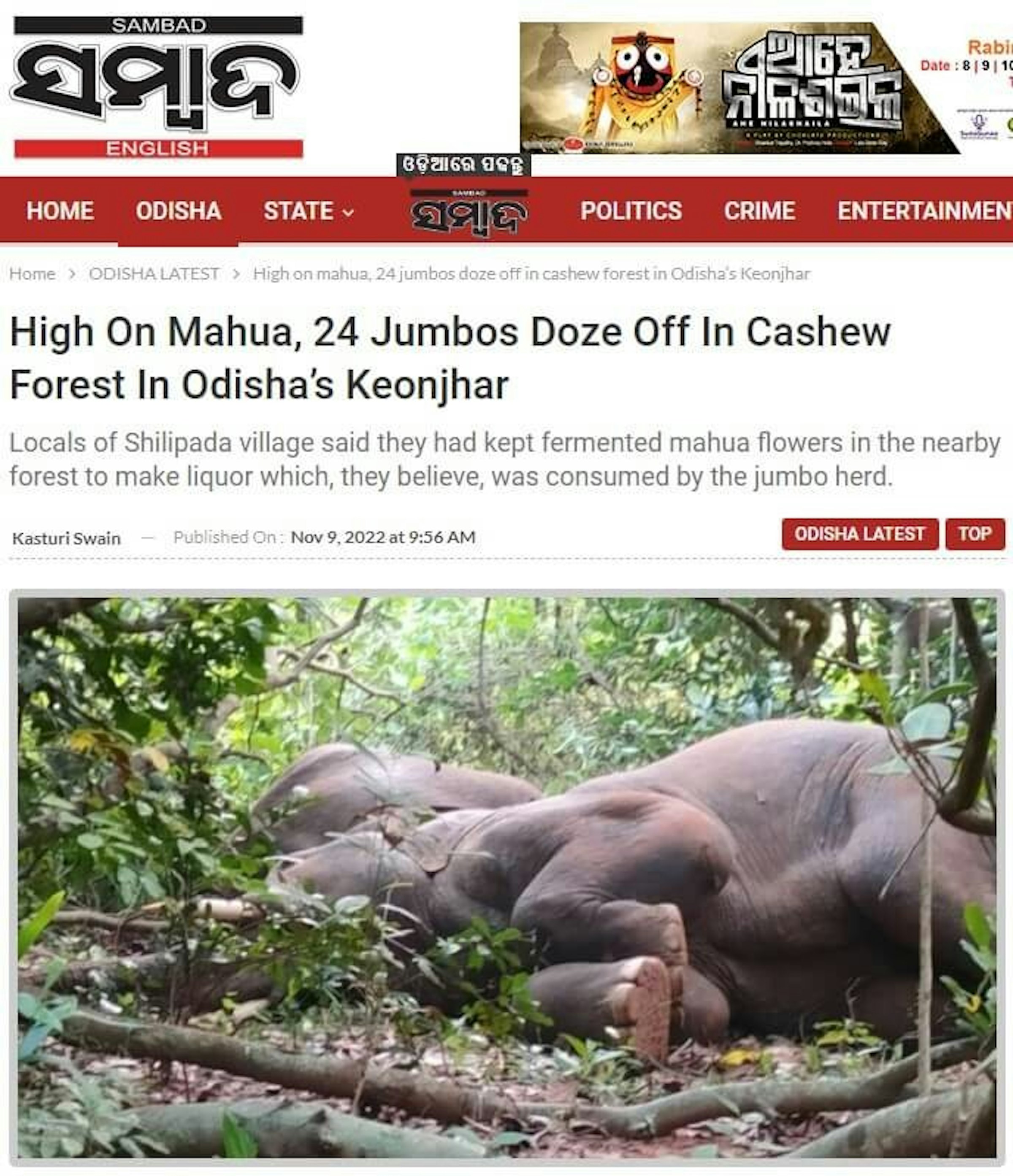 照片中提到了SAMBAD、ସମ୍ବାଦ、ENGLISH，包含了動物群、奧里薩邦、中國、政治、社會