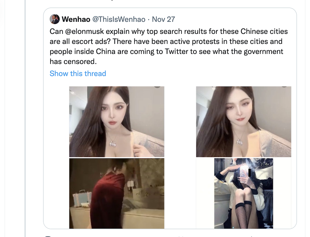 照片中提到了Wenhao @ThisIsWenhao、Nov 27、Can @elonmusk explain why top search results for these Chinese cities，包含了長發、托德克里斯利、吉賽爾邦辰、頭髮、過去的