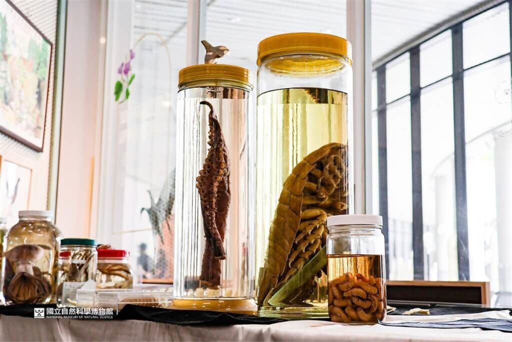 照片中提到了OR、國立自然科學博物館、NATIONAL MUSEUM OF NATURAL SCIENCE,包含了巨型等足動物、巨型等足動物、國立自然科學博物館、等足類動物、人的