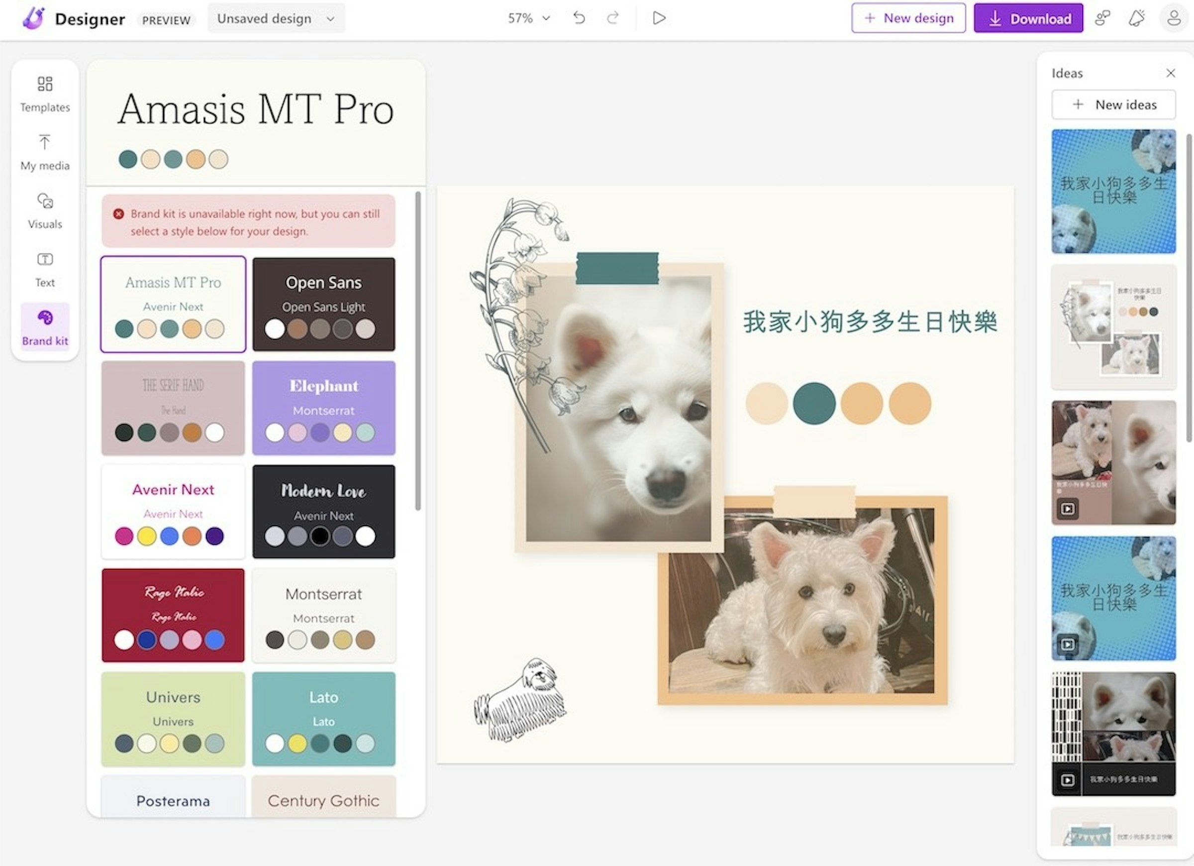 照片中提到了Designer PREVIEW、Templates、↑，包含了大學、微軟設計師、狗、設計、狗品種