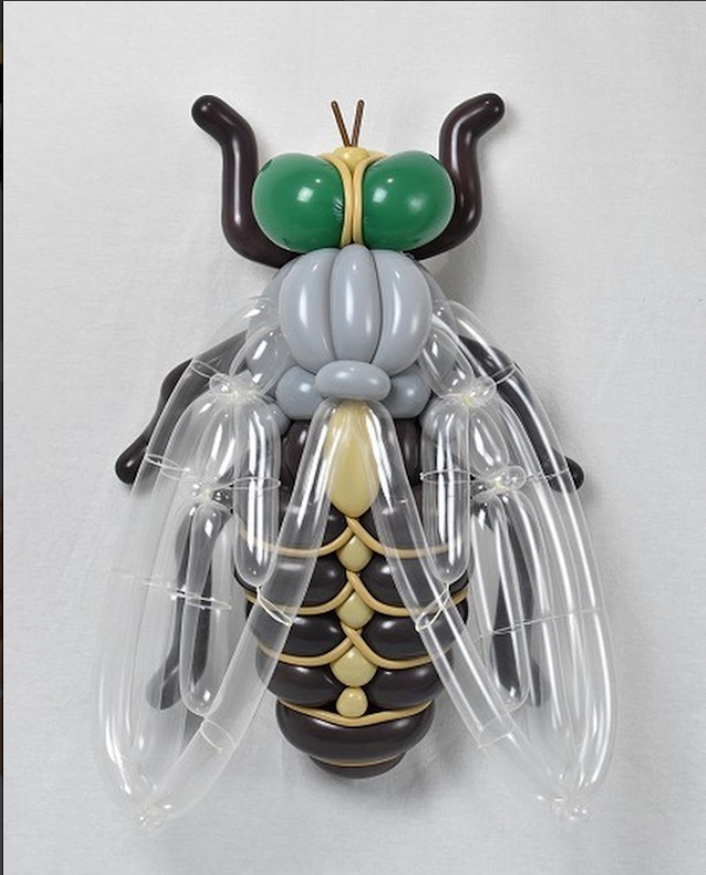 Matsumoto, Balloon modelling, Art, Artist, Balloon, Sculpture, Japanese art, Design, , Birthday, balloon art matsumoto, insect, membrane winged insect, invertebrate, pollinator