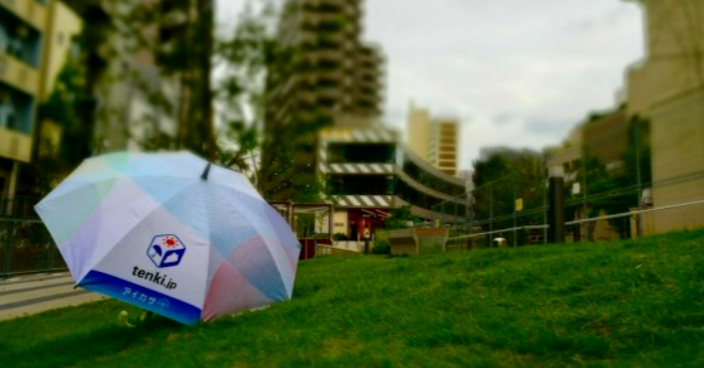 Lawn, Recreation, Leisure, Biome, Tree, Sky plc, grass, grass, leisure, biome, lawn, plant, recreation, tree, sky, umbrella