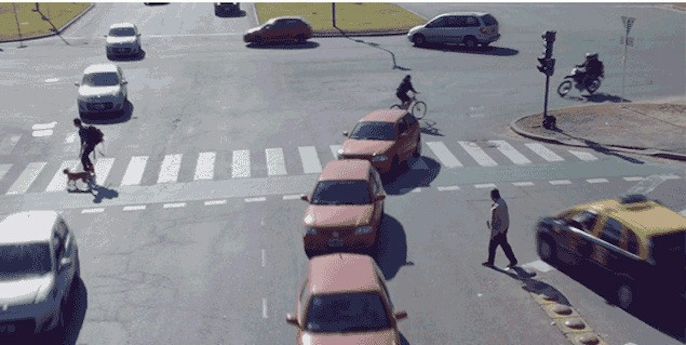 是這才是完美的人車共用道路境界這篇文章的首圖