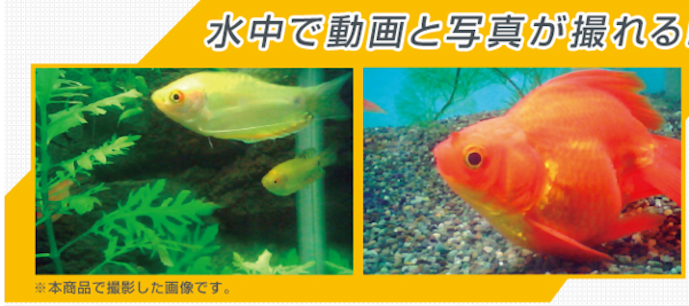 4482827d981b1a686f503dfa3e9096e1