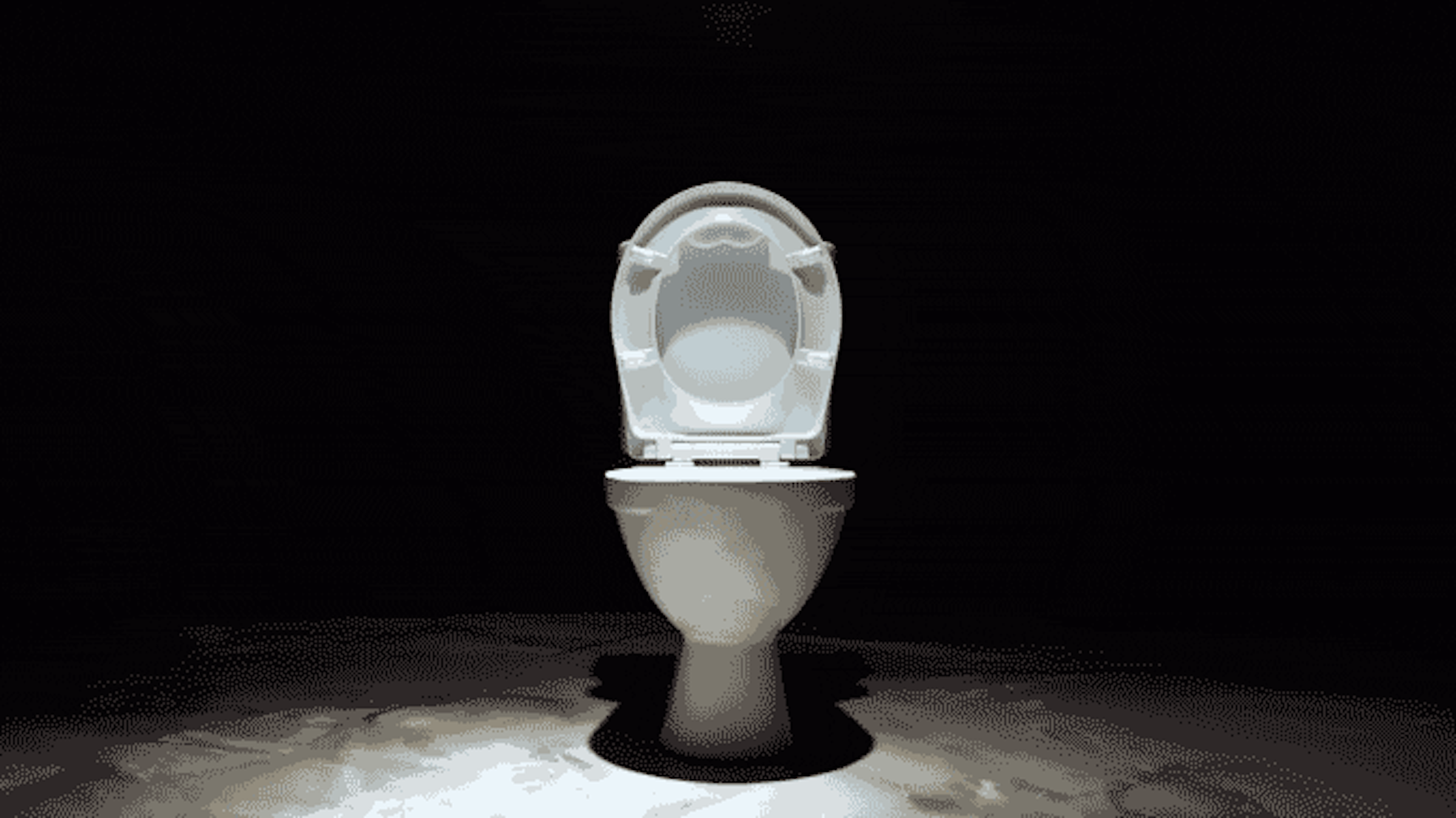 Toilet seat, , Toilet, , No, , ㅐ, Ni, Gadget, ㅒ, REDONE LLC, light, lighting, still life photography, darkness, black and white