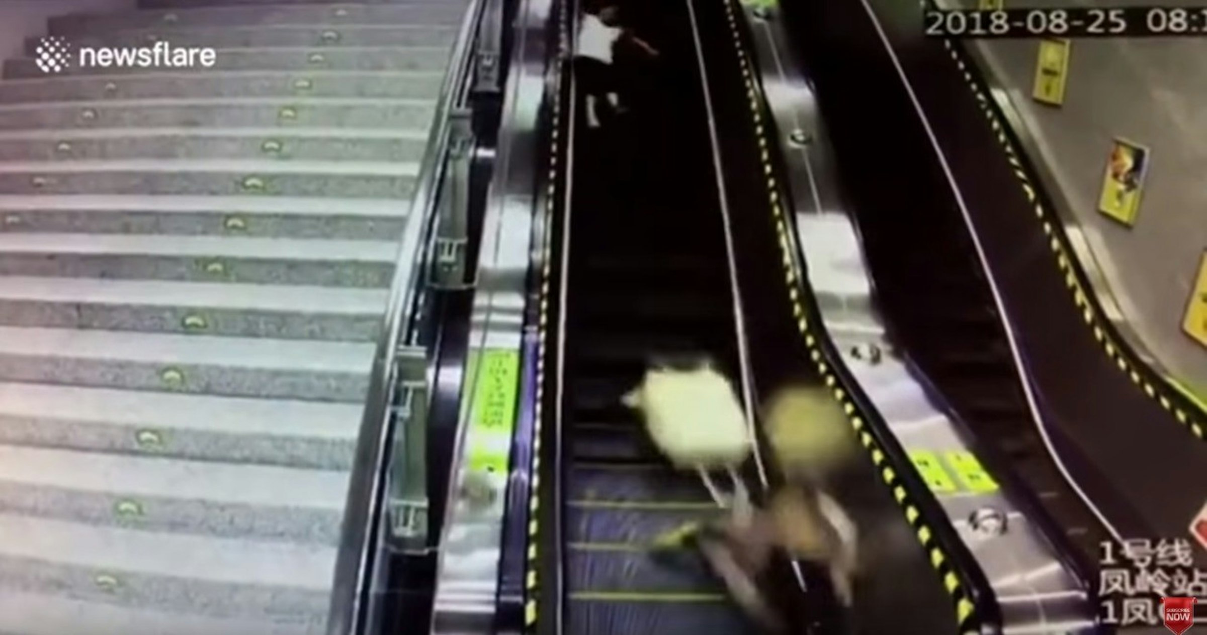 Escalator, YouTube, Commuter Station, , China, , Elevator, Suitcase, Video, , escalator, mode of transport, escalator, metropolis, recreation