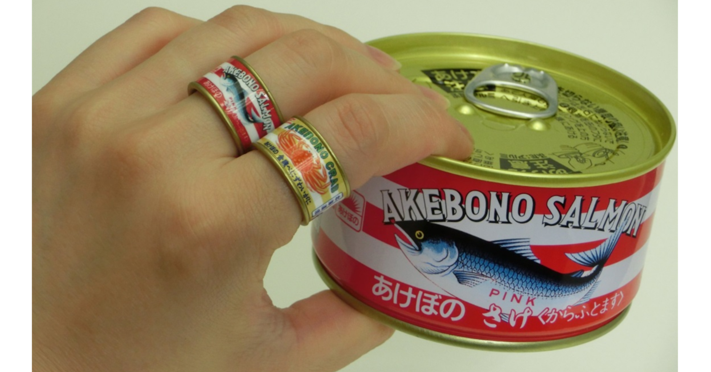 , 心霊スポット巡礼ツアー, ロックなカレー屋 YASSカレー, Tokusatsu, Art, Otaku, Illustrator, , , Super Sentai, , Hand, Sardine, Surströmming