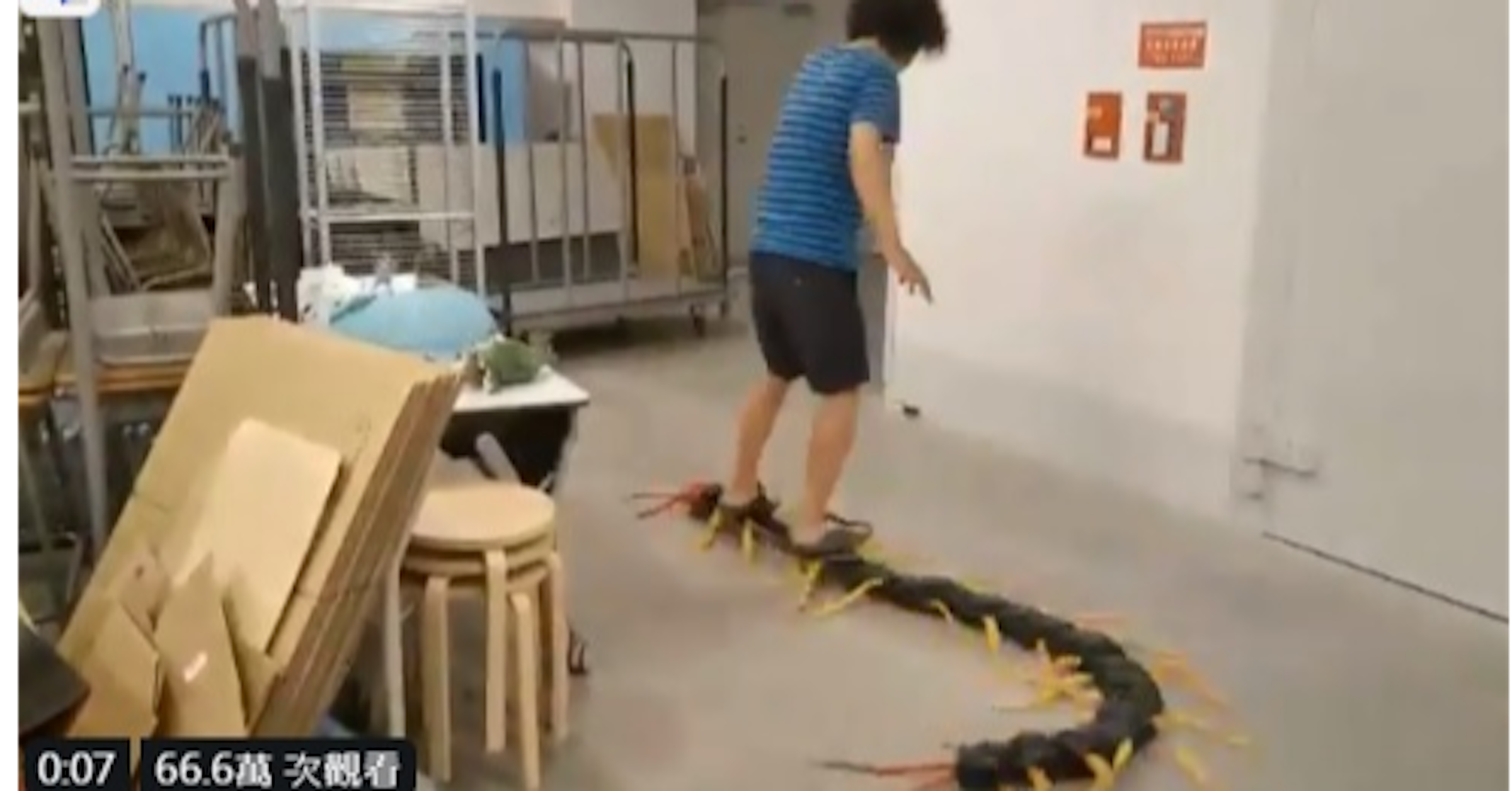Floor, Jean Sport Aviation Center, Mammal, floor, Snake, Reptile, Python family, Python, Scaled reptile, Burmese python, Boa, Boa constrictor, Floor, Machine