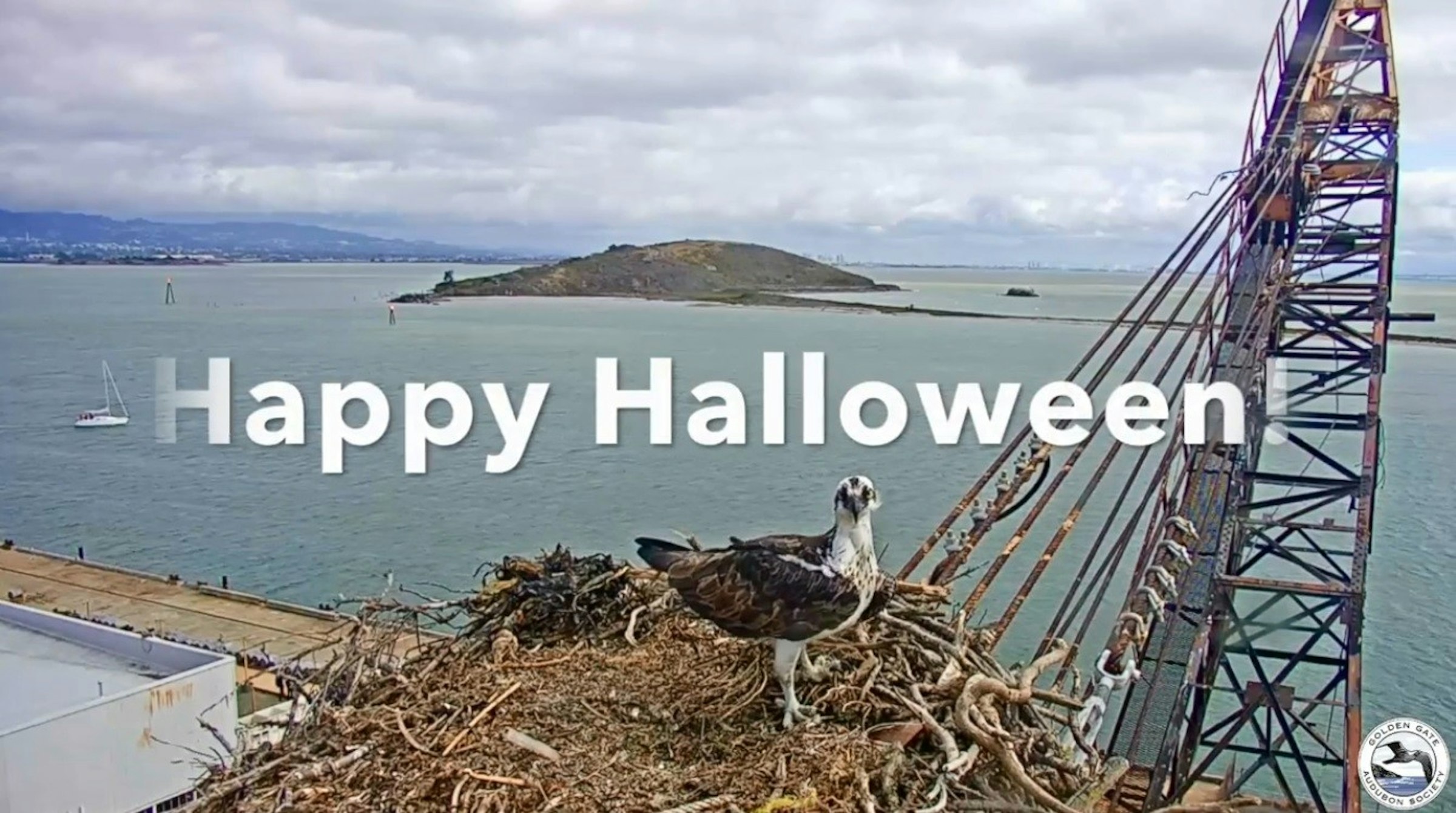 照片中提到了Наpрy Halloween、GATE、COLDEN，跟大陸集團有關，包含了海