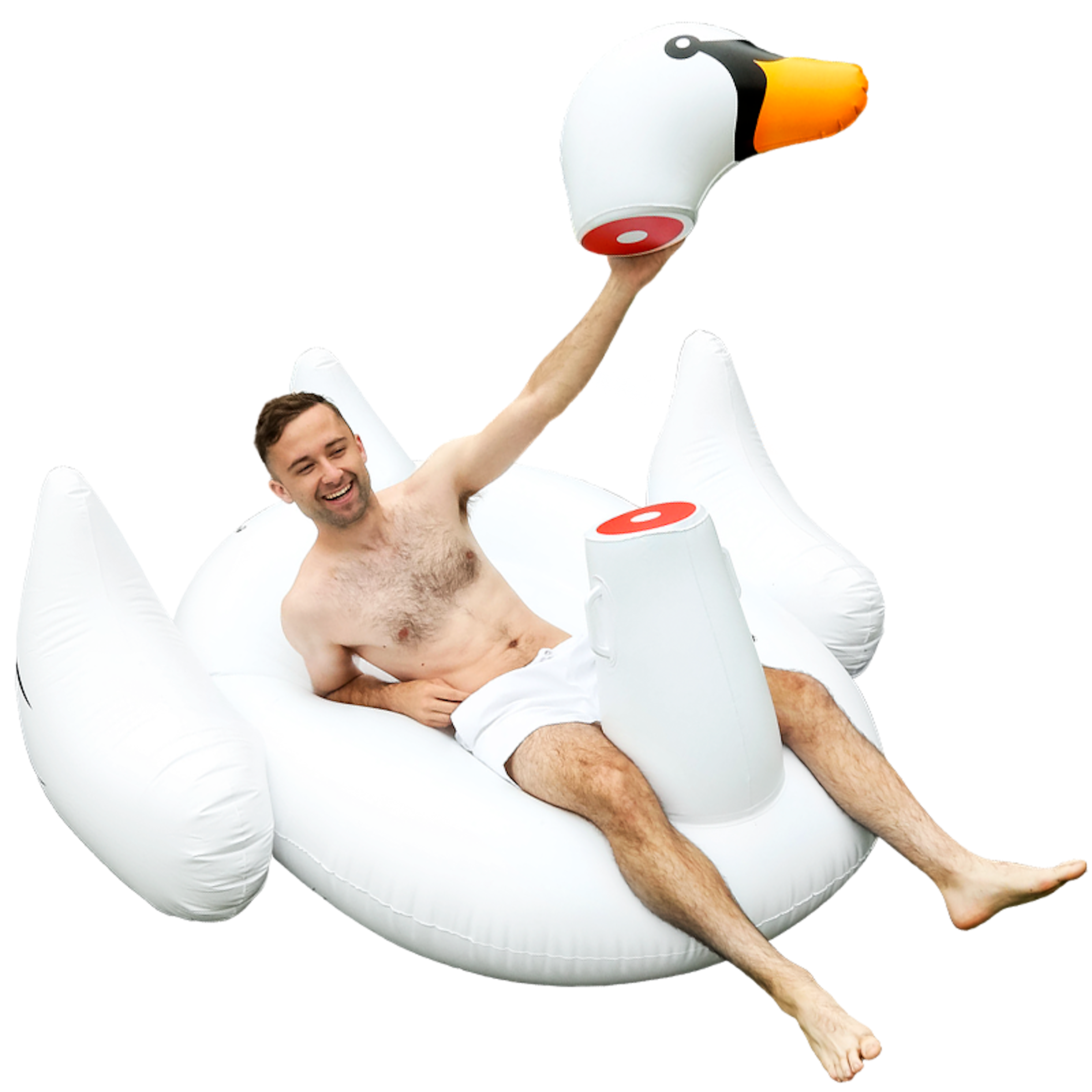 Bird, Headgear, Water bird, Human leg, leg, Swan, Leg, Bird, Water bird, Ducks, geese and swans