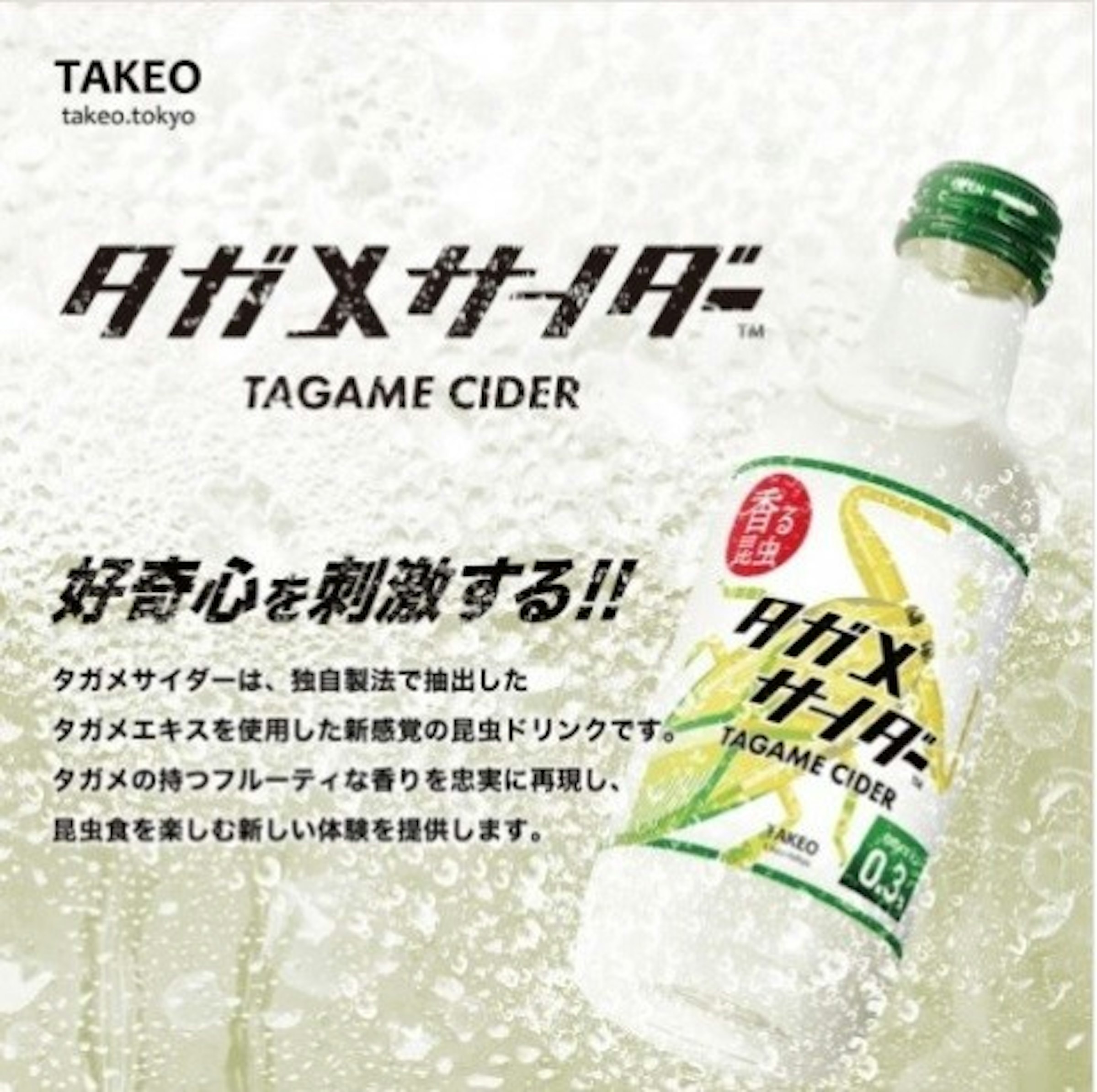 Lethocerus deyrollei, Lemon-lime drink, Insect, Entomophagy, Food, Drink, Lethocerus indicus, Silkworm, 虫, 昆虫食 | TAKEO, タガメ サイダー, Drink