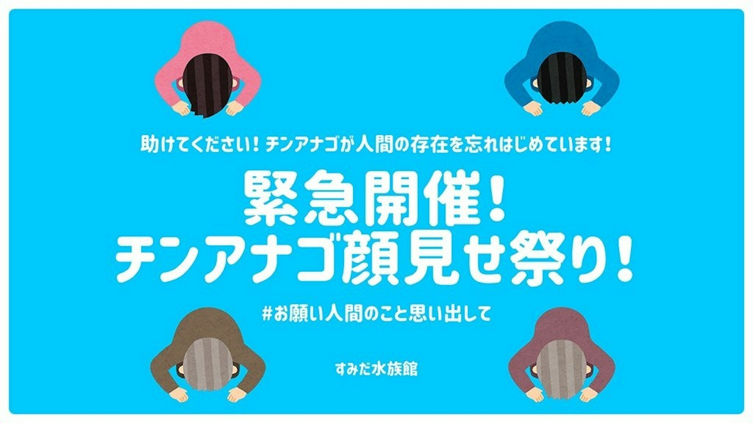 照片中提到了助けてください!チンアナゴが人間の存在を忘れはじめています!、緊急開催!、チンアナゴ顔見せ祭り!，包含了2008年、墨田水族館、斑點花園鰻、公共水族館、節