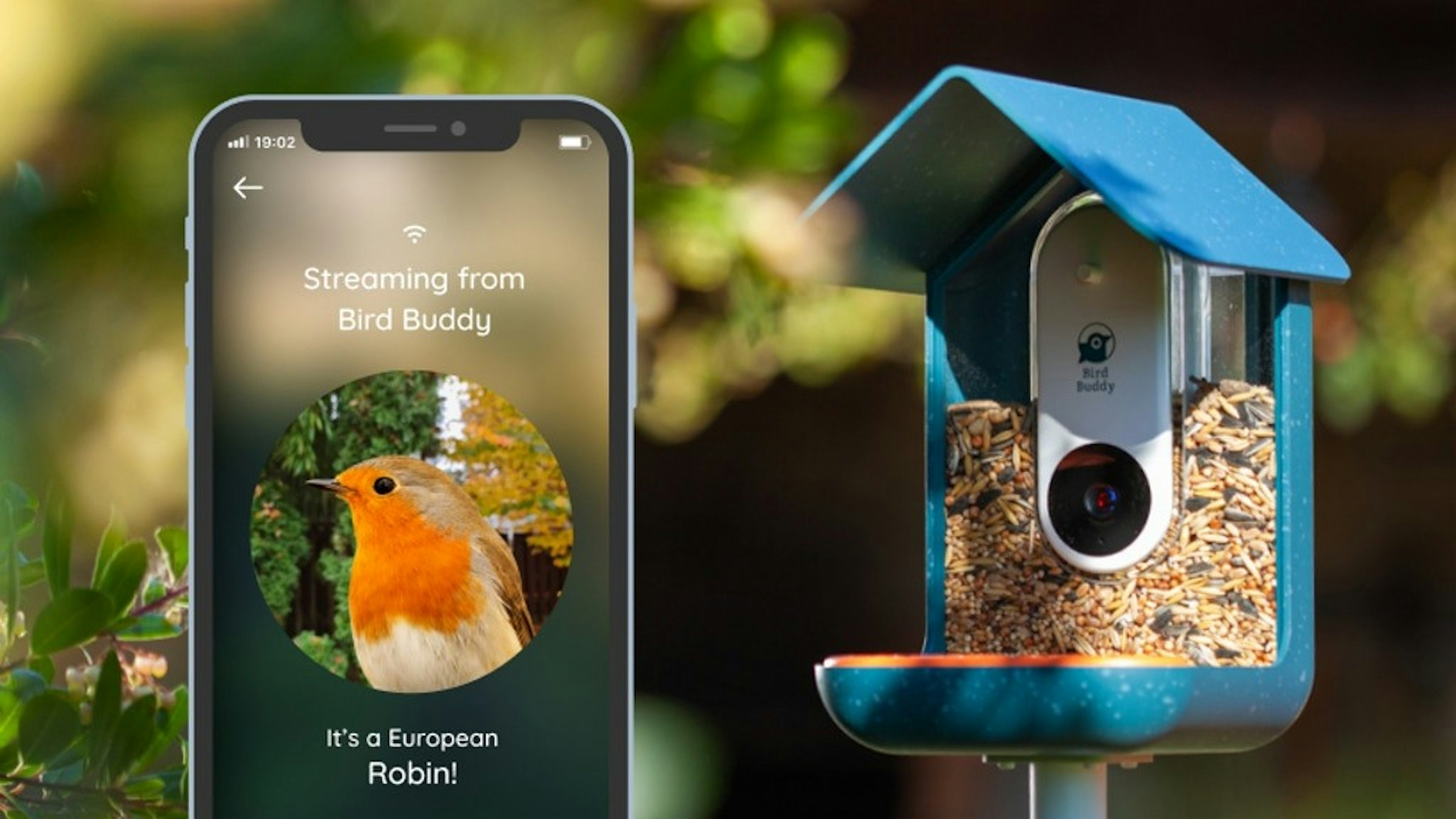 照片中提到了ll 19:02、Streaming from、Bird Buddy，包含了鳥哥們、鳥類、蜂鳥、餵鳥器、餵鳥
