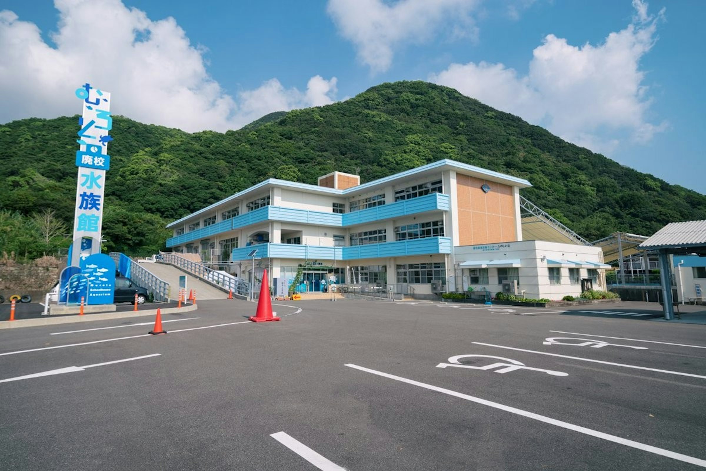 照片中提到了廃校、|水、族，包含了天空、室戶校舍水族館、鯊魚、公共水族館、地質公園