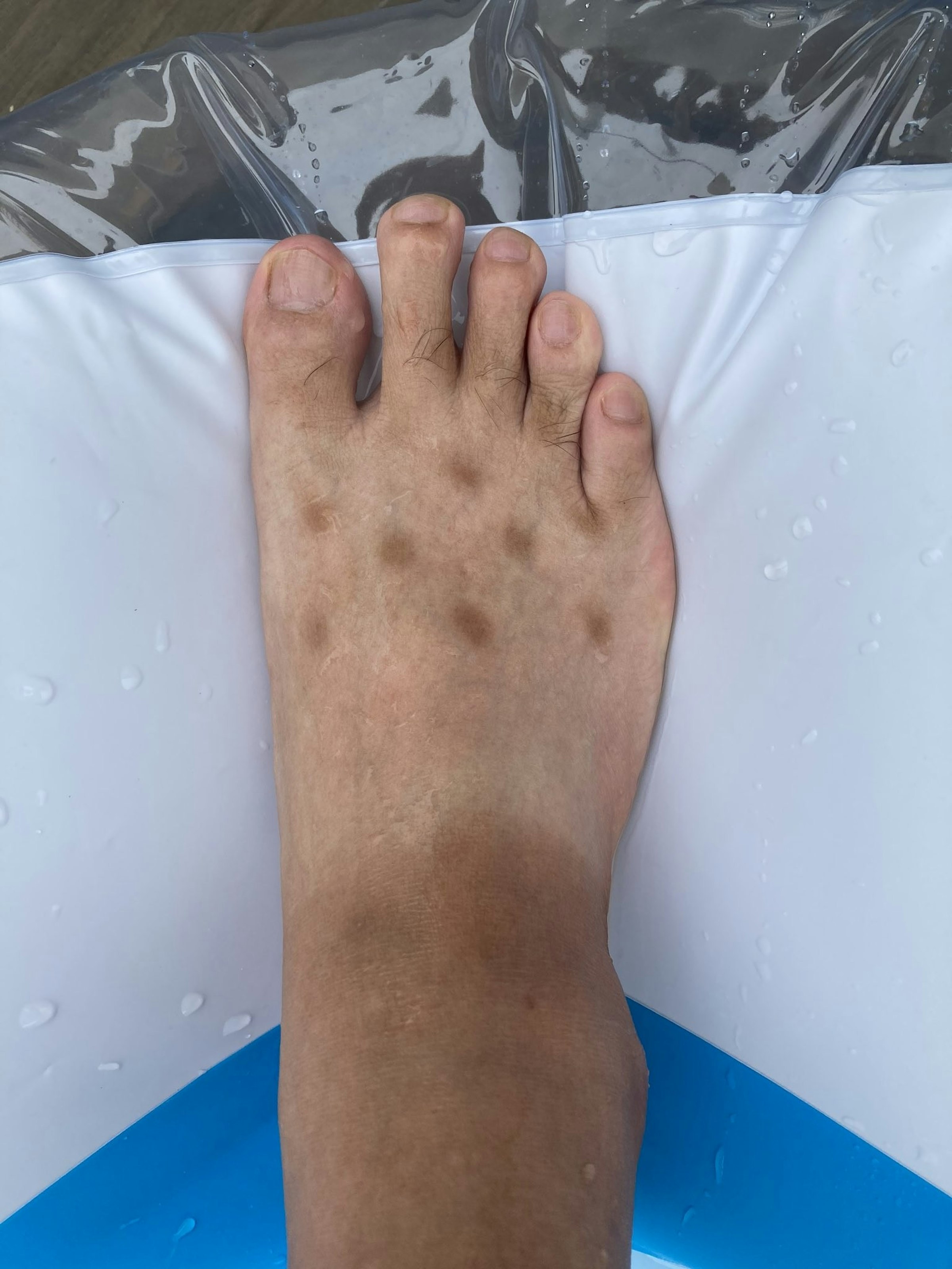 照片中包含了腳丫子、鉭、你、寶塚音樂學校、沒有