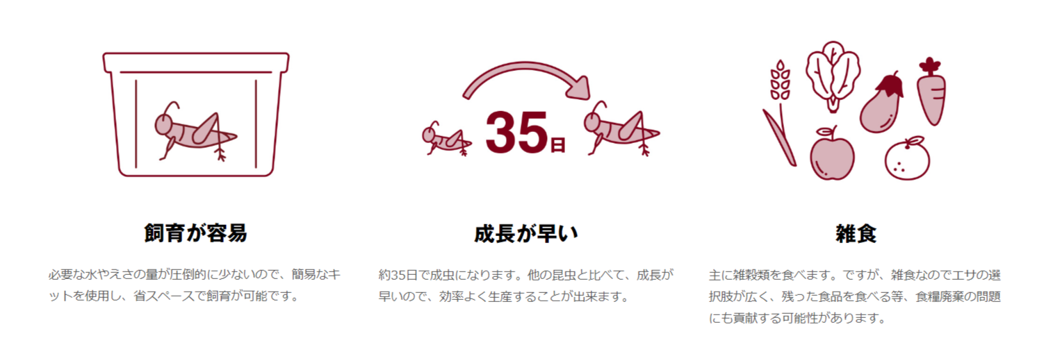 無印良品與德島大學共同開發蟋蟀仙貝開賣 Cool3c 無印良品與德島大學共同開發蟋蟀仙貝開賣 Cool3c