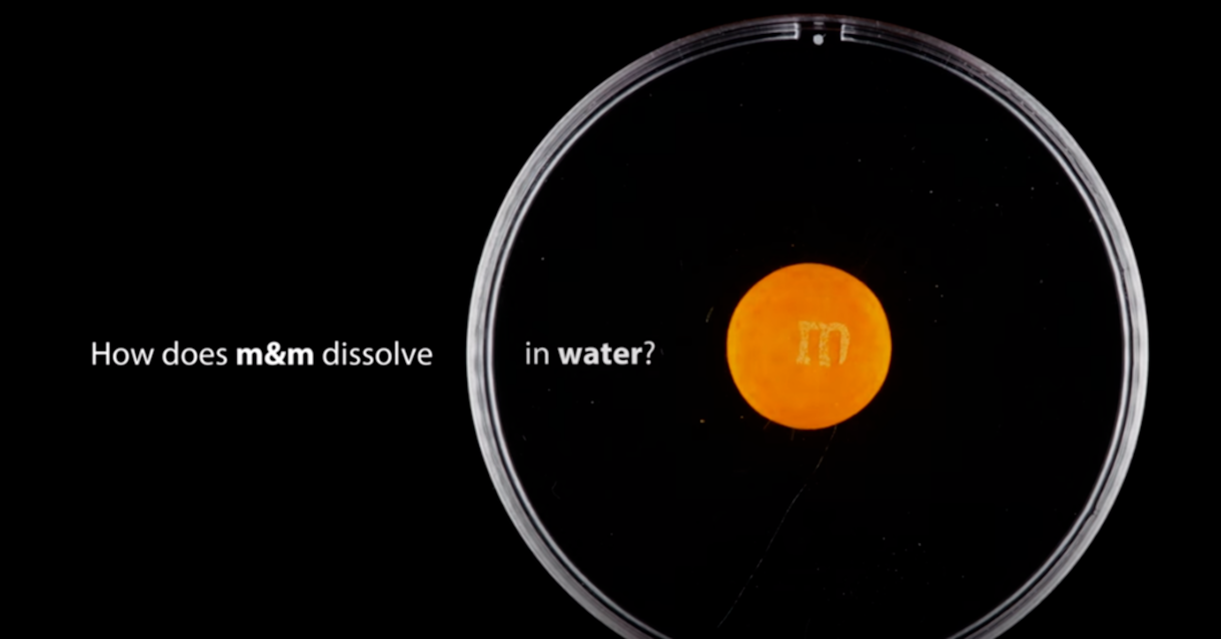 照片中提到了How does m&m dissolve、in water?、In，跟M＆M的有關，包含了圈、威尼斯雙年展、高知-穆齊里斯雙年展、當代藝術、藝術
