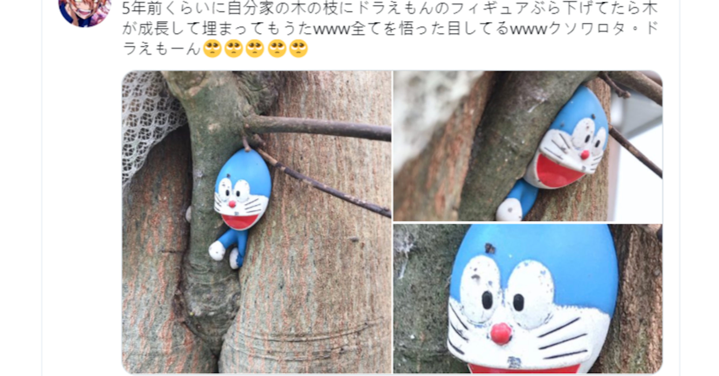 照片中提到了5年前くらいに自分家の木の枝にドラえもんのフィギュアぶら下げてたら木、が成長して埋まってもうたwww全てを悟った目してるwwwクソワロタ。ド、ラえもーん eeee，包含了鞋子、牌、產品設計、字形、鞋子