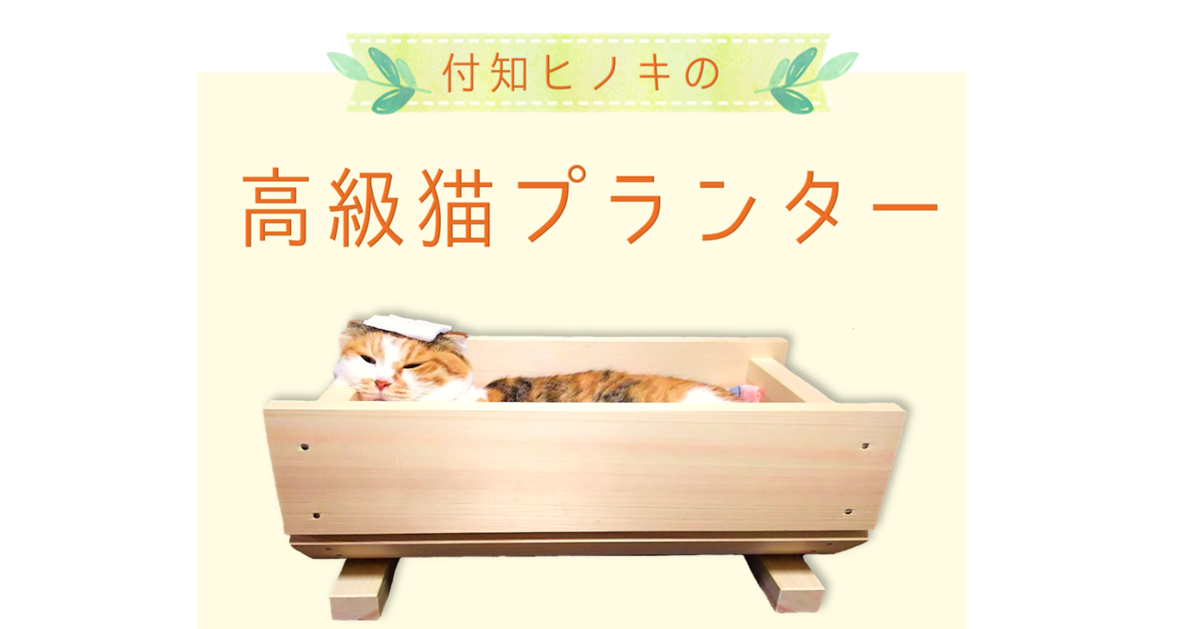 照片中提到了付知ヒノキの、高級猫プランター，包含了表、築地町、貓、扁柏、岐阜県中津川市