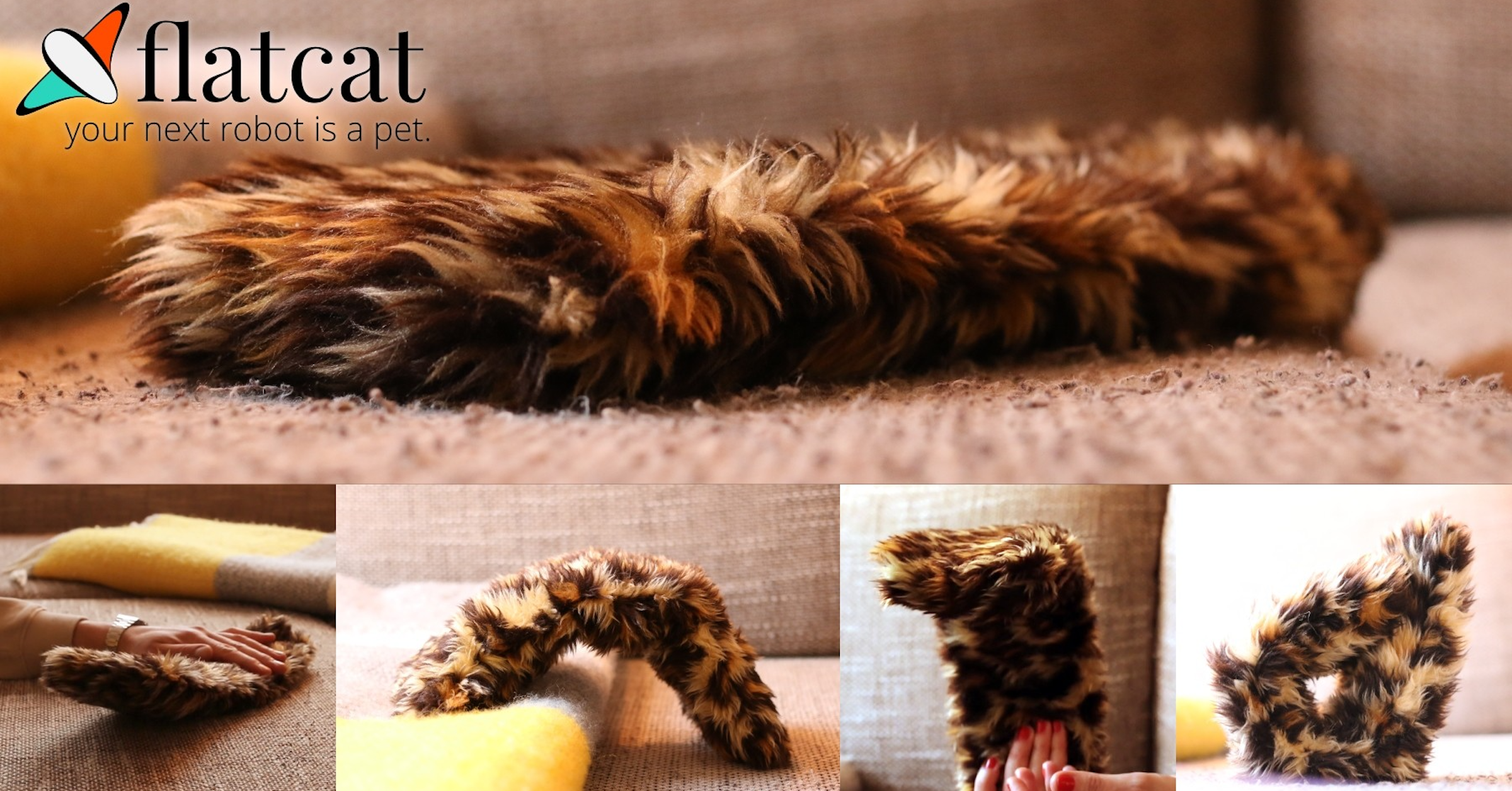 照片中提到了Sflatcat、your next robot is a pet.，包含了毛皮、機器人、Jetpack認知實驗室、機器人技術、人工智能