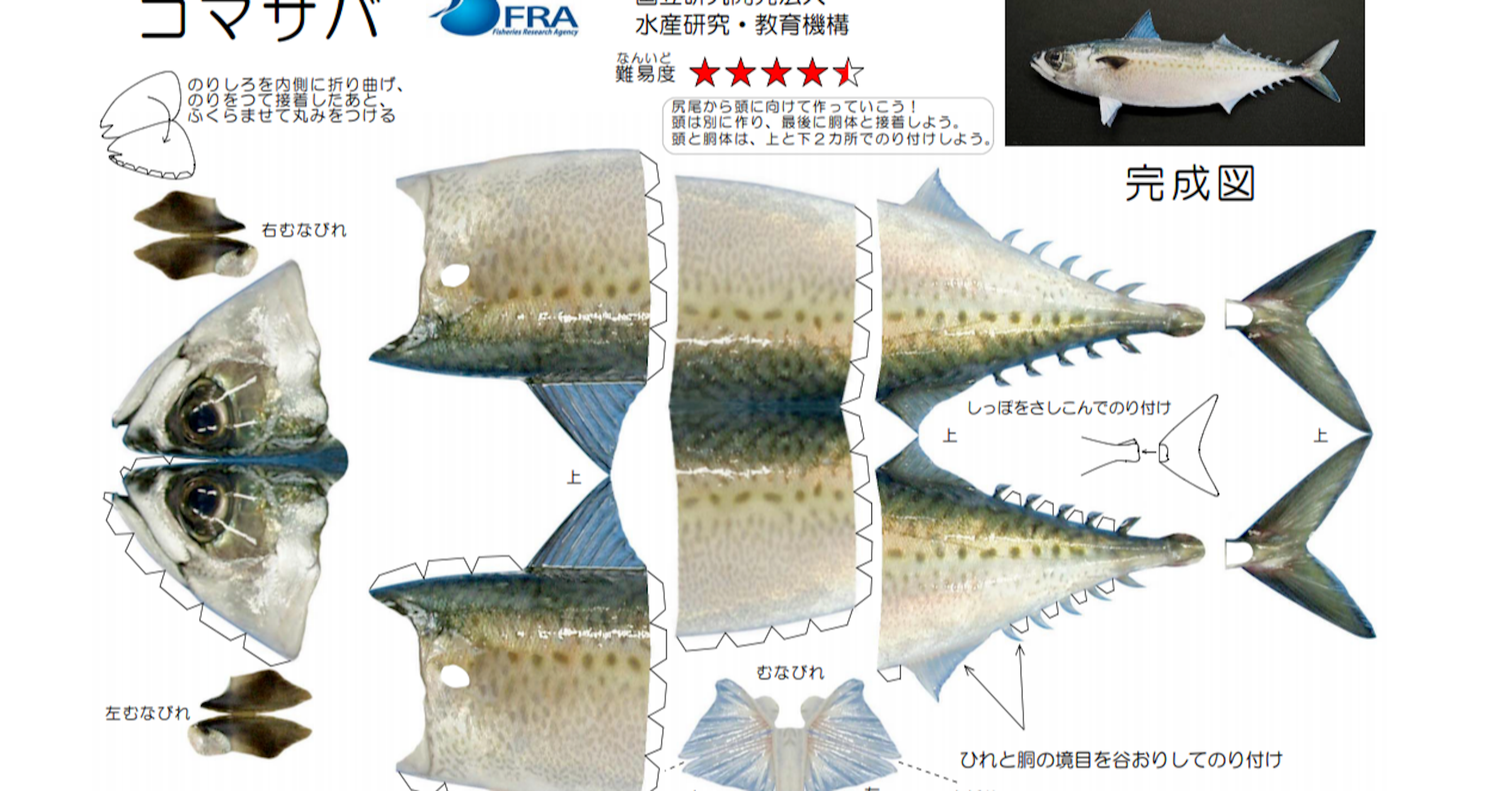 照片中提到了バ、FRA、水産研究·教育機構，包含了動物群、產品設計、生物、動物群、儀表