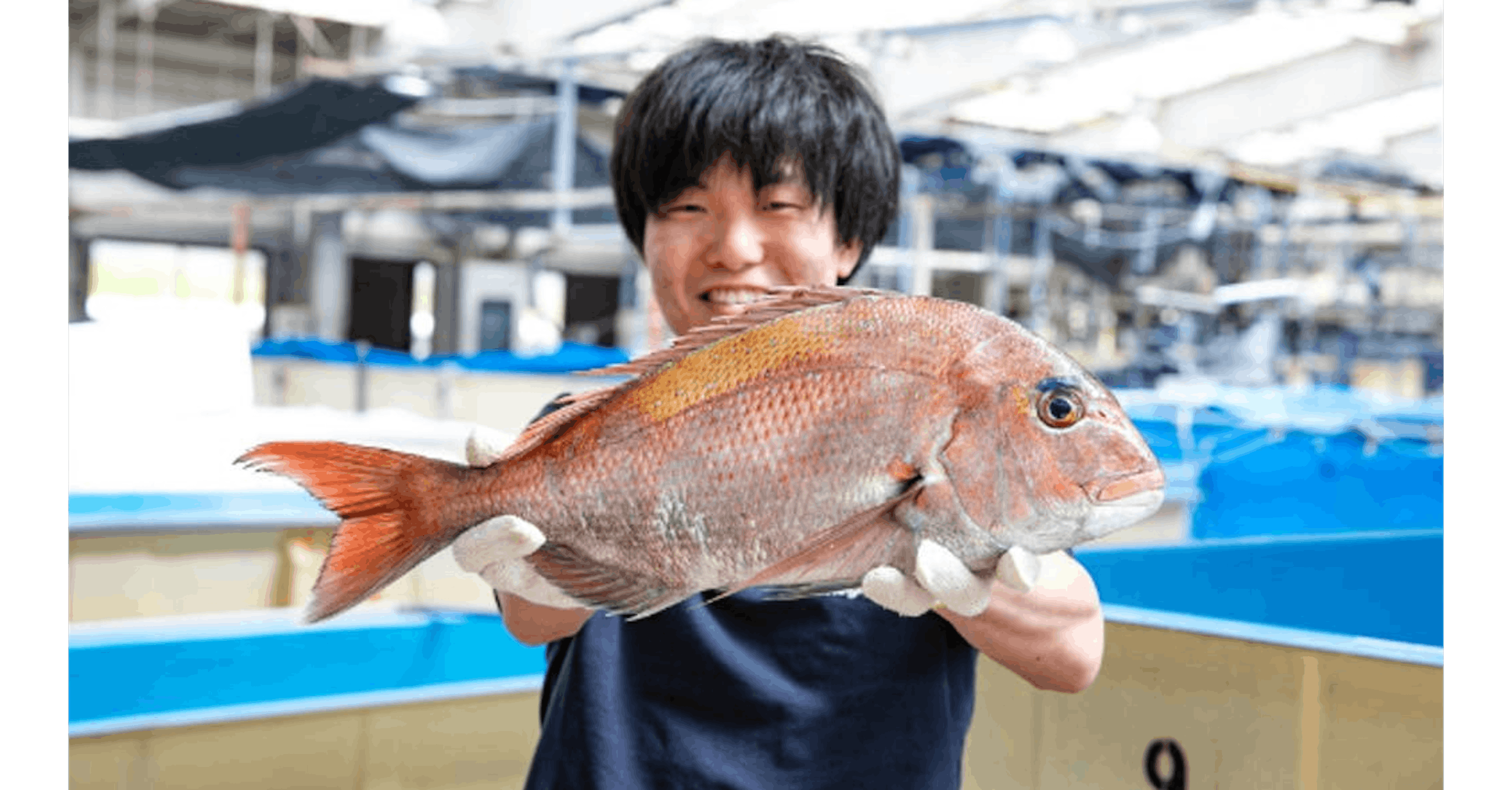 照片中包含了紅鯛魚、魚、魚製品、海鮮、北部紅鯛魚