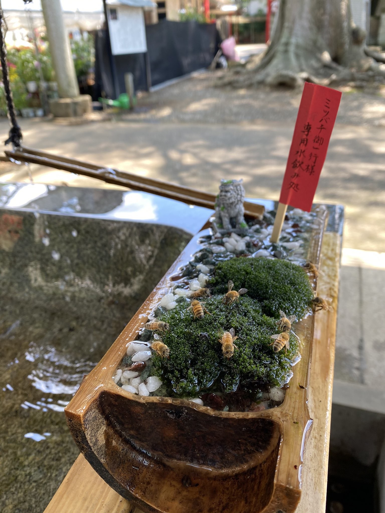 神社裡的豪華蜜蜂飲水機#一言主神社(164147) - Cool3c