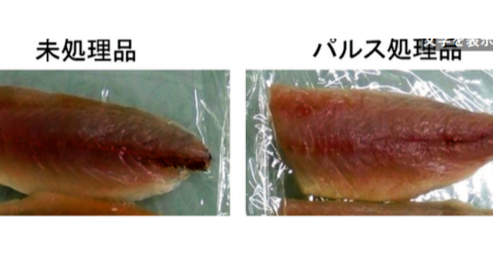 照片中提到了パルス処理論、衣小、未処理品，包含了唇、熊本大學、異尖線蟲、（株）ジャパンシーフーズ本社、魚和貝類
