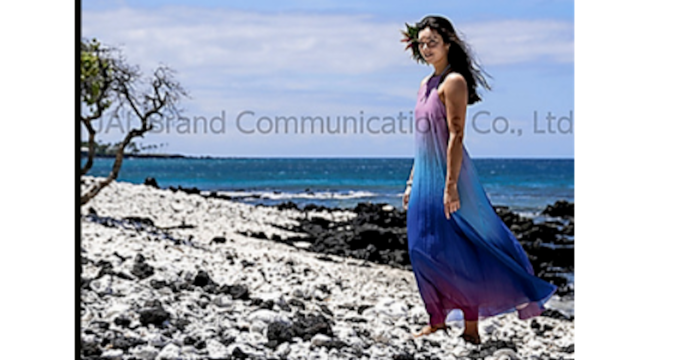 照片中提到了JANsrand Communication Co., Ltd，包含了假期、日本航空、夏威夷、包價旅遊、JAL「A WORLD OF BEAUTY」2020年カレンダーCL-1242