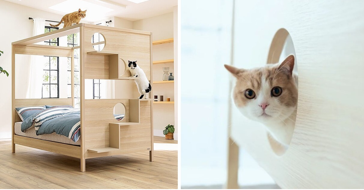 照片中包含了貓、貓、Oppo貓森林棕色、MyZoo BusyCat 壁掛式貓床、送料無料キャットタワー
