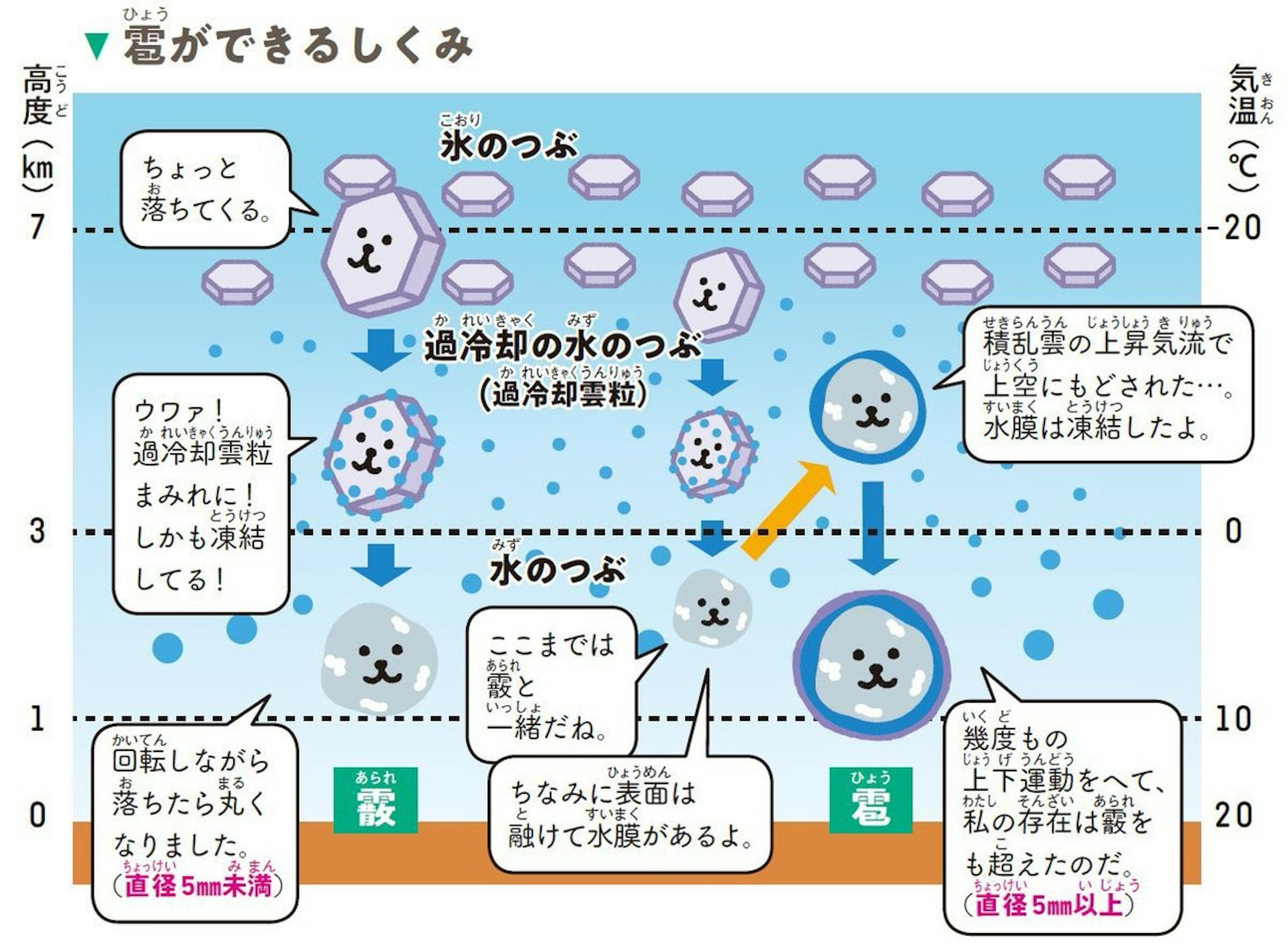 原來冰雹的横切面長這樣受熱差異大 垂直運動發展成年輪結構 霰 Cool3c