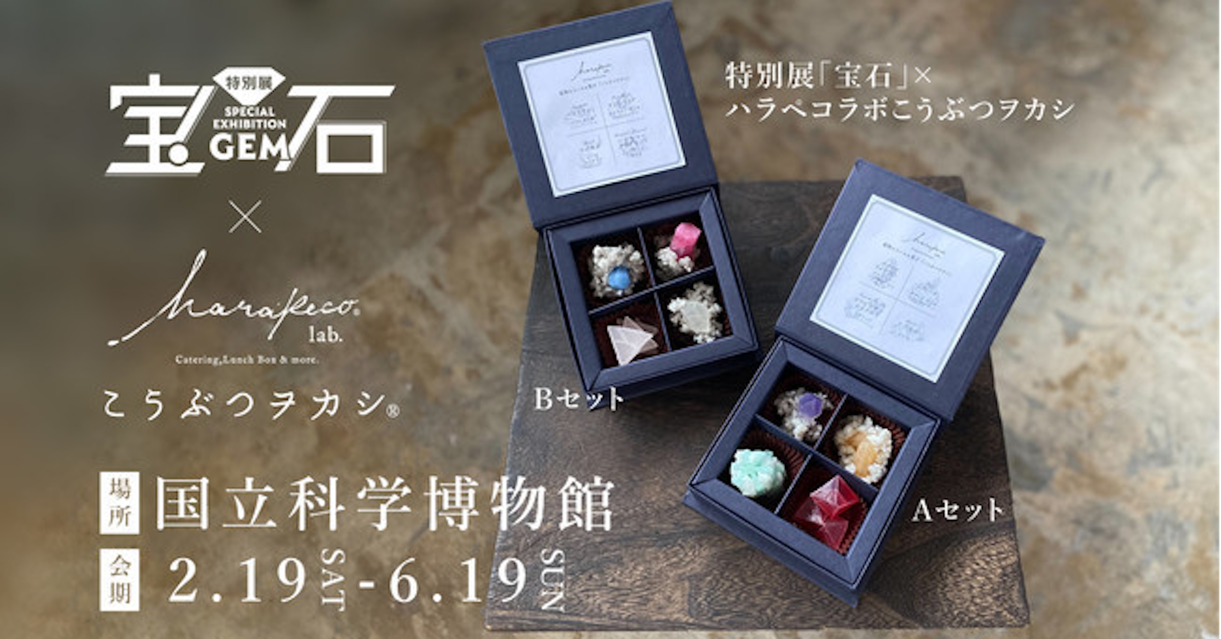 照片中提到了宝石、特別展「宝石」X、ハラベコラボこうぶつヲカシ，跟普吉特海灣能源有關，包含了國立科學博物館寶石展、國家自然科學博物館、博物館、寶石、琥珀色