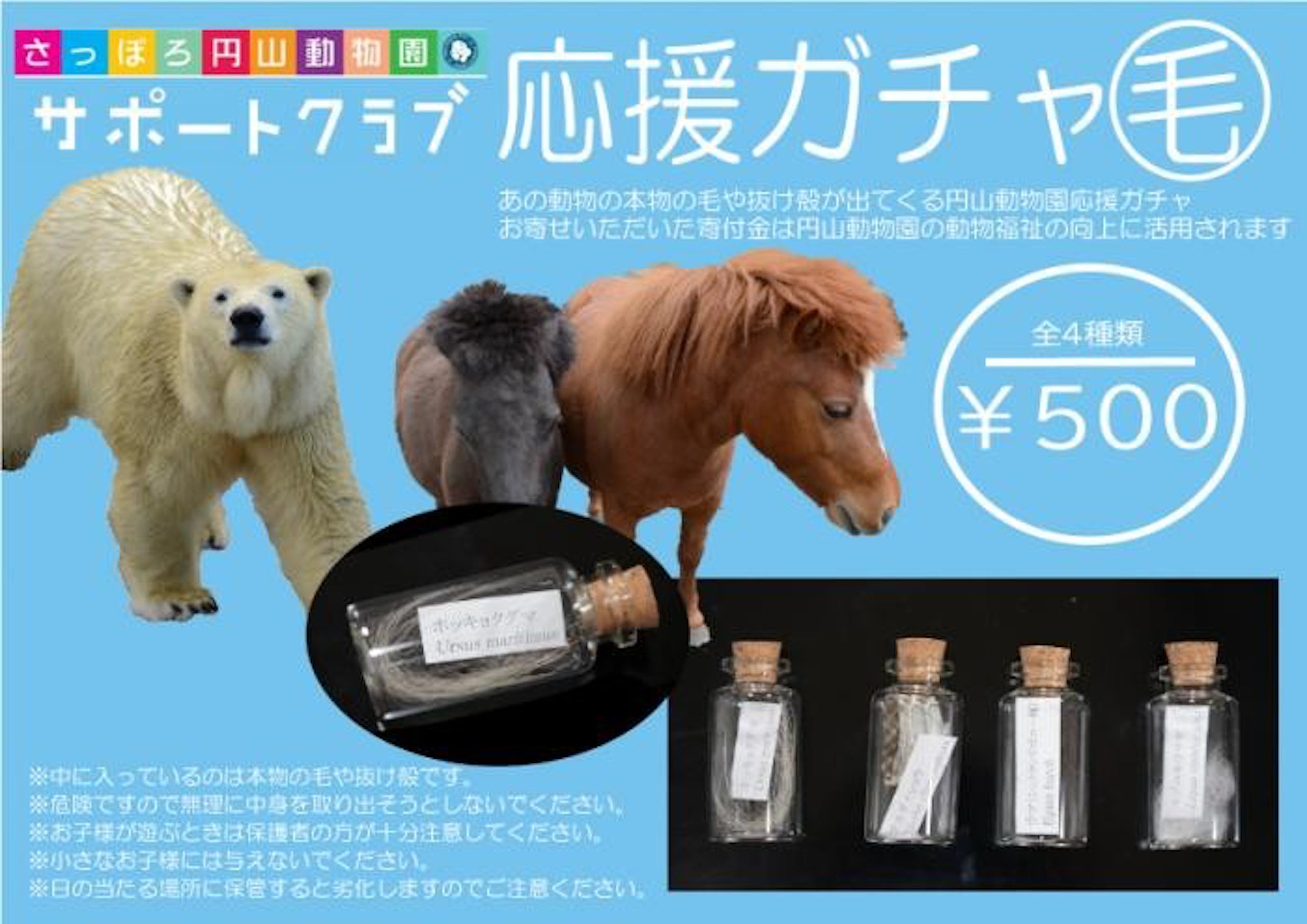 照片中提到了応援ガチャ毛、あの動物の本物の毛や抜け殻が出てくる円山動物園応援ガチャ、お寄せいただいた寄付金は円山動物園の動物福祉の向上に活用されます，包含了寵物、札幌市丸山動物園、北極熊、熊、大象
