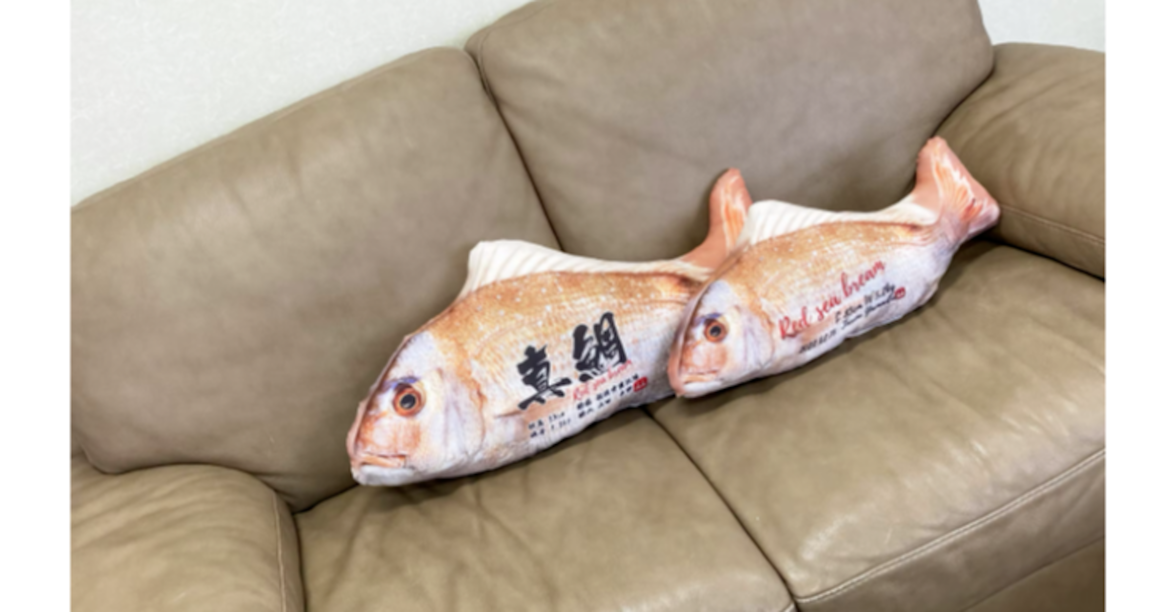 照片中提到了東網、Rad seu brear，跟麵包師的喜悅有關，包含了魚、T恤衫、豐田 Pixis Mega、毛巾、動物源食品