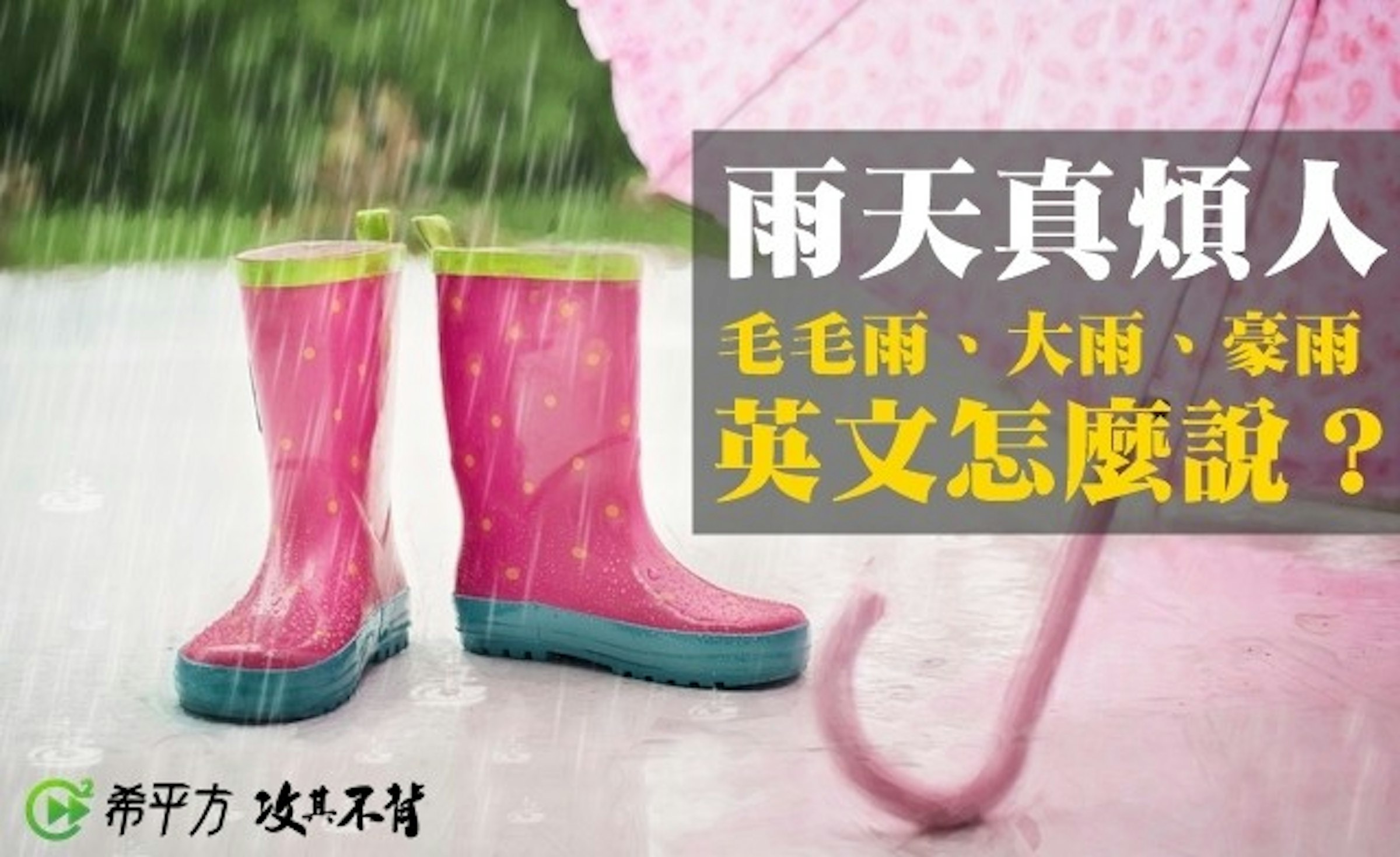 Riviera Maya, Iowa City Public Library, West Hollywood, Beverly Hills, Library, , New Year, , Storm, Blog, abanın kadri yağmurda bilinir tdk, Footwear, Pink, Font, Shoe, Boot, Rain boot