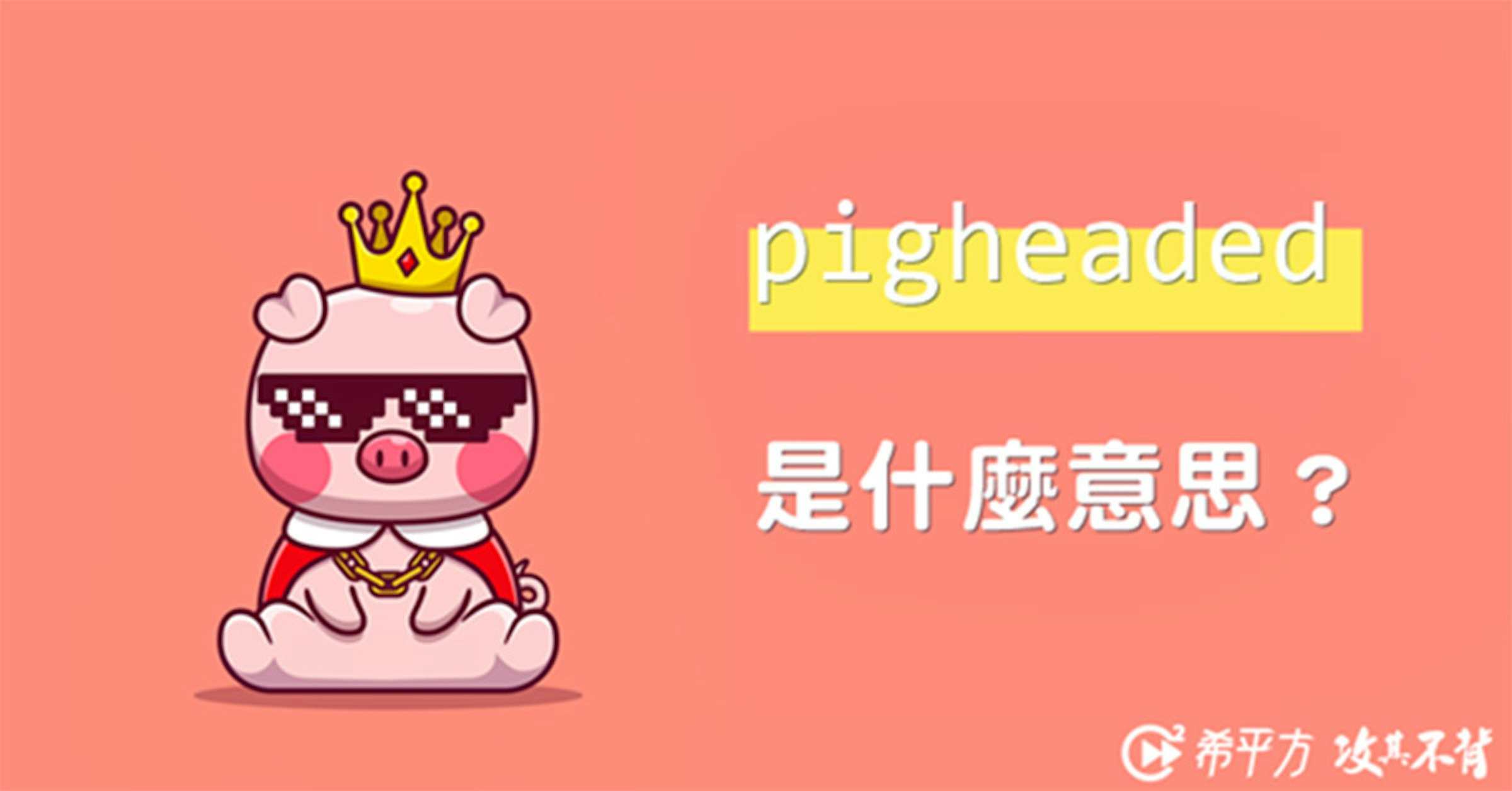 照片中提到了pigheaded、是什麼意思?、C希平方攻其不，包含了動畫片、插圖、畫畫、動畫片、圖片