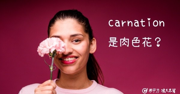 照片中提到了carnation、是肉色花?、@ 希平方攻其不背，包含了美女、設計、下載、服務、圖形