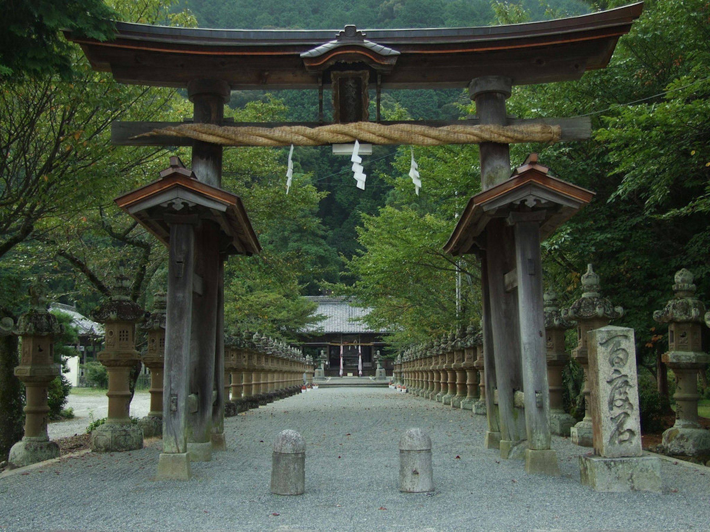 面白日本 神社參拜最易觸犯的5 大禁忌 你ng 了嗎 上 1103 癮科技cool3c