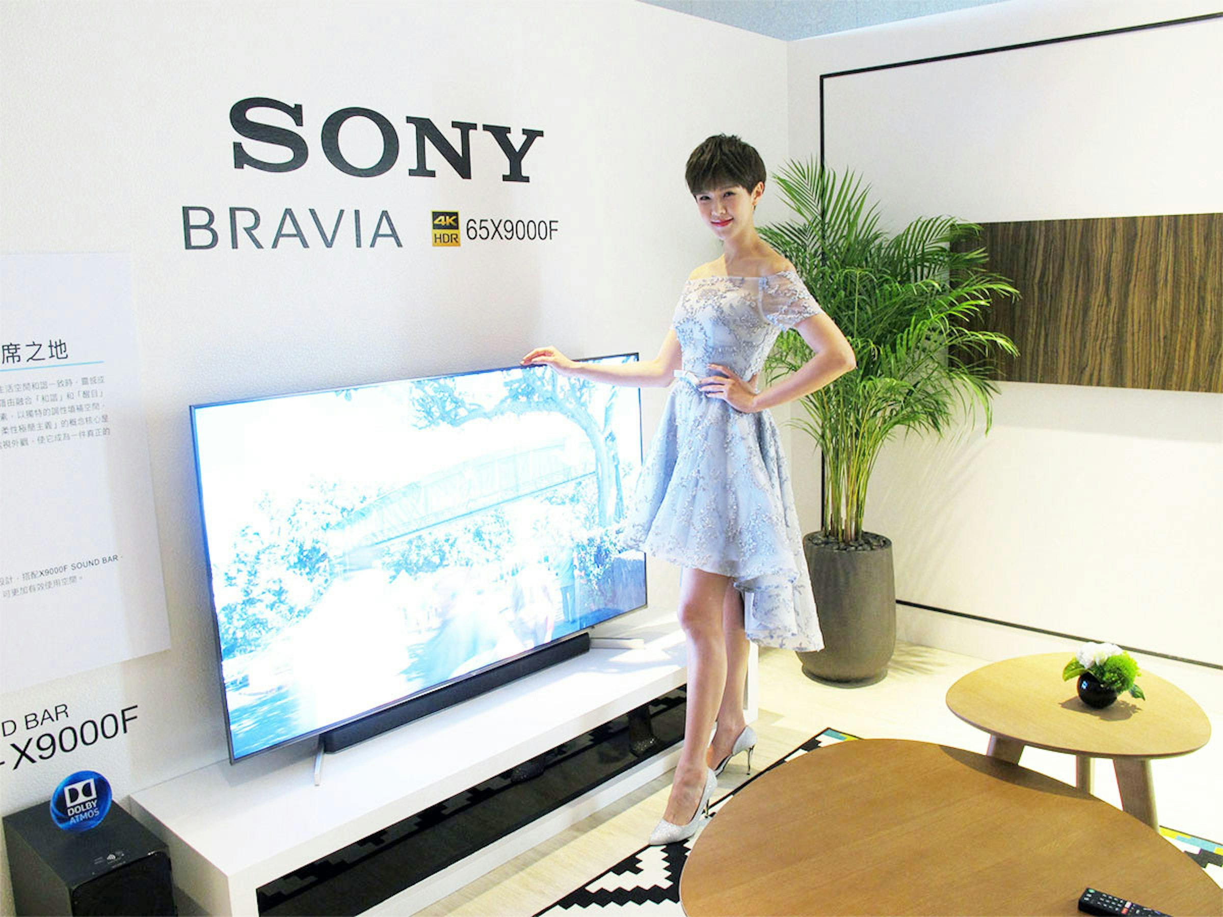 VHS, Television, , Sony, Videotape, Compact disc, Sony E-mount, Bravia, V/H/S: Viral, Display device, sony bravia, technology, furniture, advertising, product design, product, media, electronic device, display device, table, multimedia