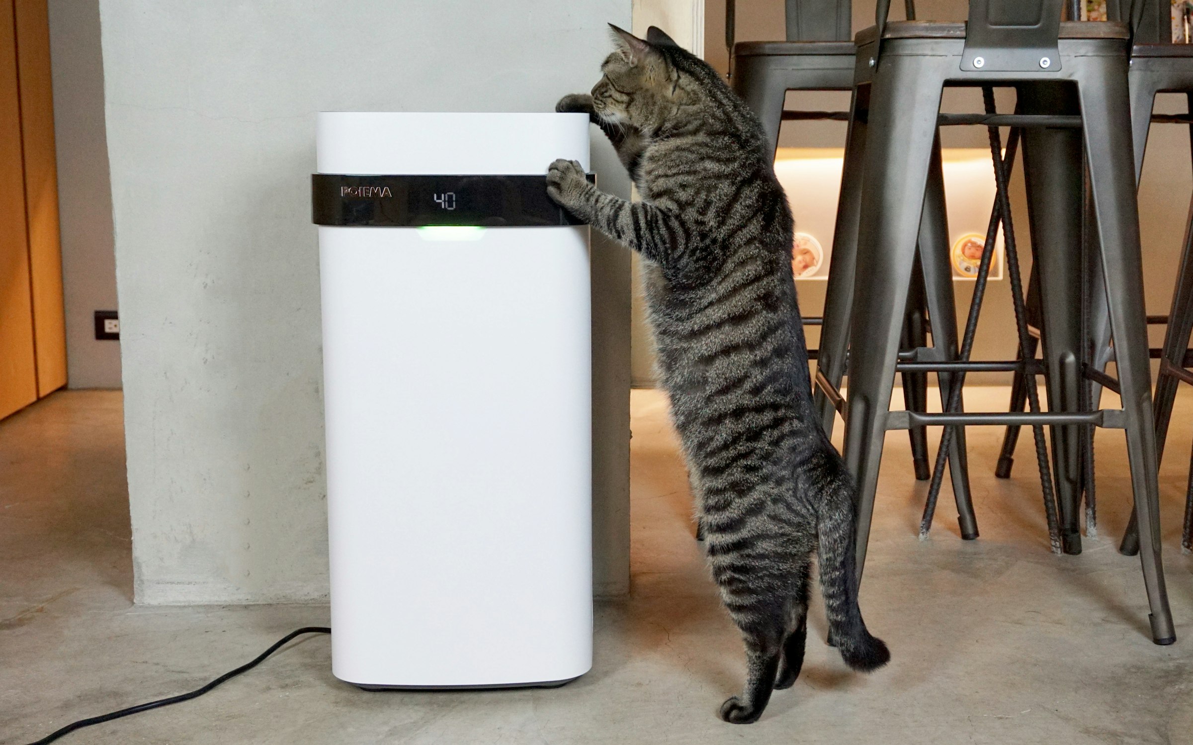 瘾科技, iPhone X, iPhone XR, , Apple, Apple MacBook Pro, Face ID, eSIM, iMessage, Macintosh, fur, cat, mammal, small to medium sized cats, cat like mammal, fur, flooring, floor, carnivoran, whiskers, furniture