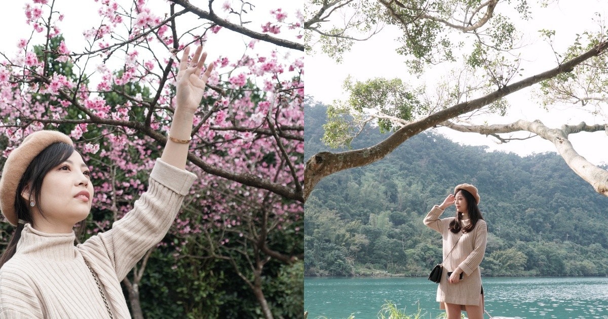 Cherry blossom, Photography, Photograph, ST.AU.150 MIN.V.UNC.NR AD, Pink M, Girl, Ceremony, , Cherries, Blossom, photograph, People in nature, Photograph, Pink, Spring, Tree, Flower, Blossom, Branch, Cherry blossom, Plant