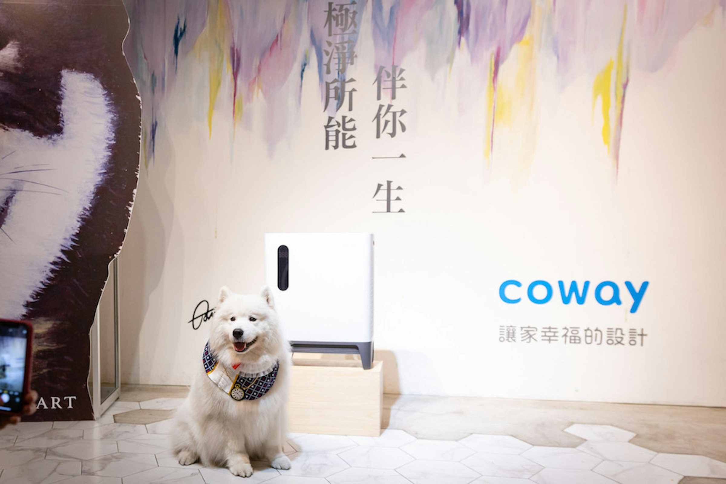 照片中提到了生、coway、讓家幸福的設計，跟扎拉有關，包含了伍家輝我瘋你、狗、我瘋你、設計、藝術