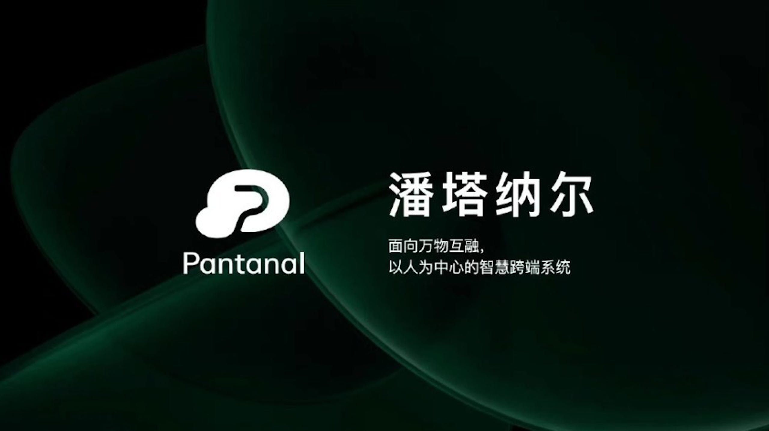 照片中提到了2、Pantanal、潘塔纳尔，跟Adobe公司有關，包含了Oppo、Oppo、彩色操作系統、移動電話、Oppo