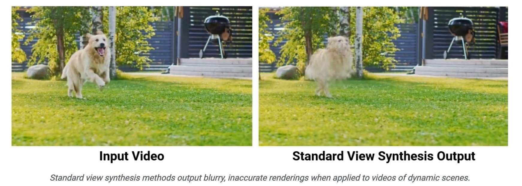 照片中提到了Input Video、Standard View Synthesis Output、Standard view synthesis methods output blurry, inaccurate renderings when applied to videos of dynamic scenes.,包含了草、狗、狗品種、哺乳動物、犬科