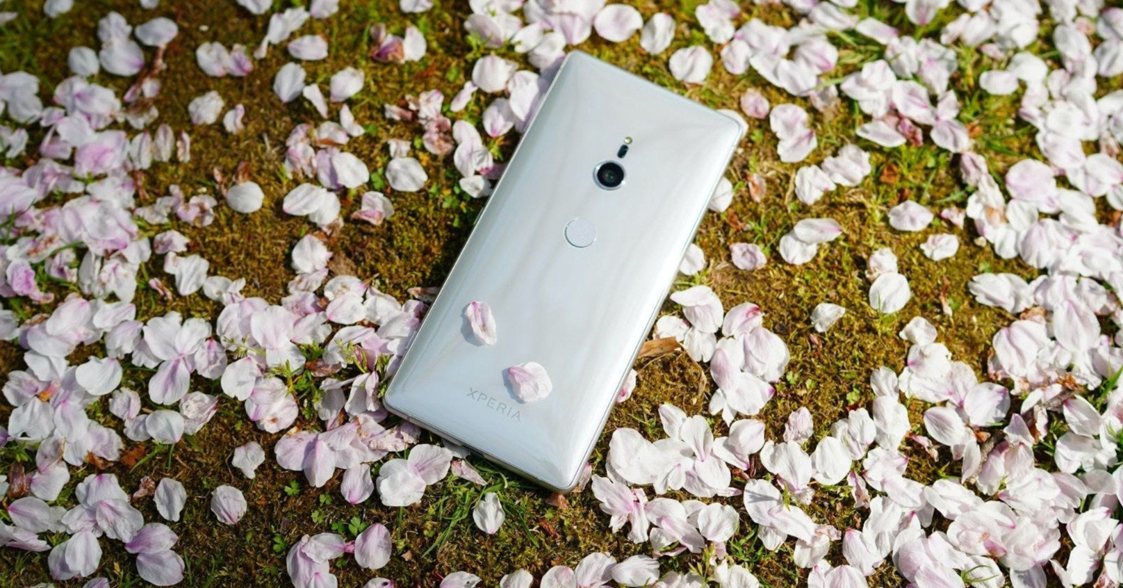 Flower, flower, flower, grass