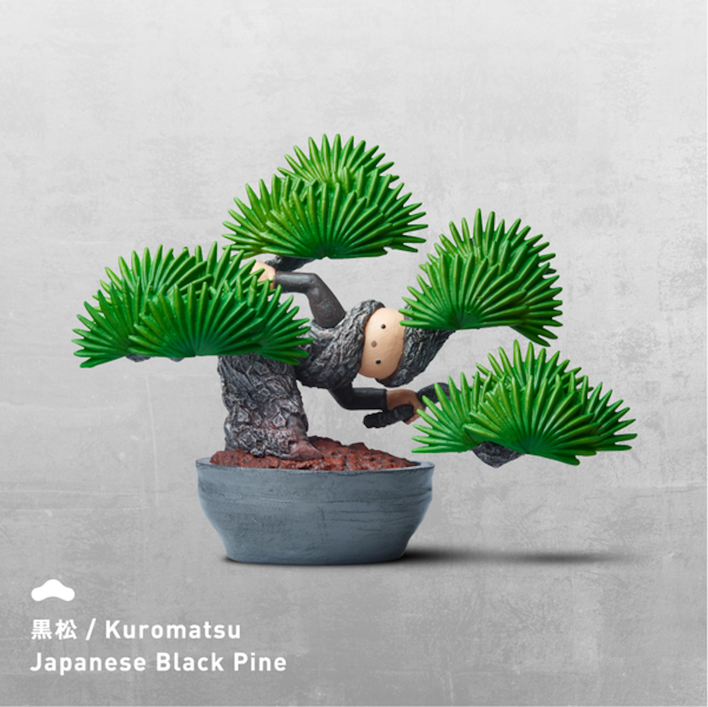 是真．植物人 扭蛋這篇文章的第1圖