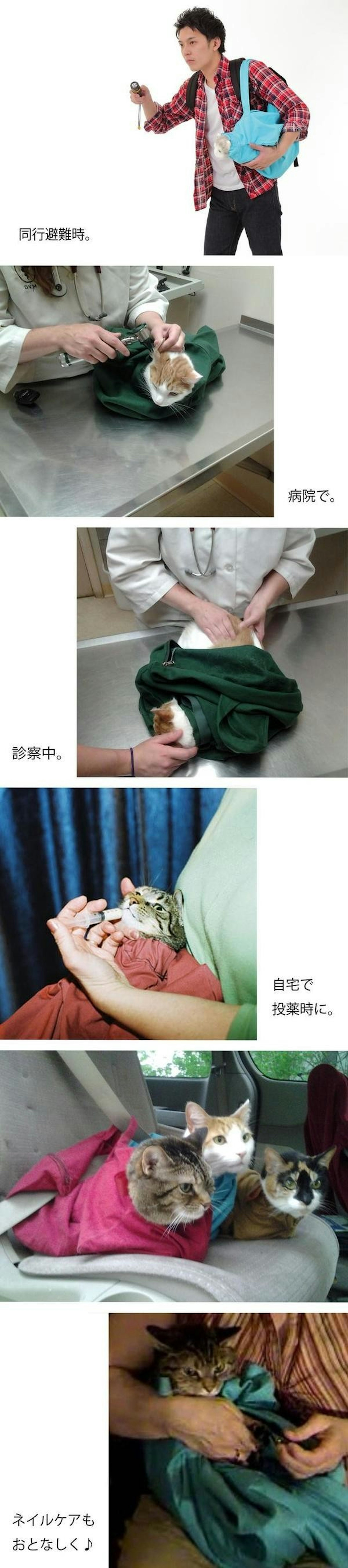是可以隨時把喵星人一把抱走的肩袋這篇文章的第2圖