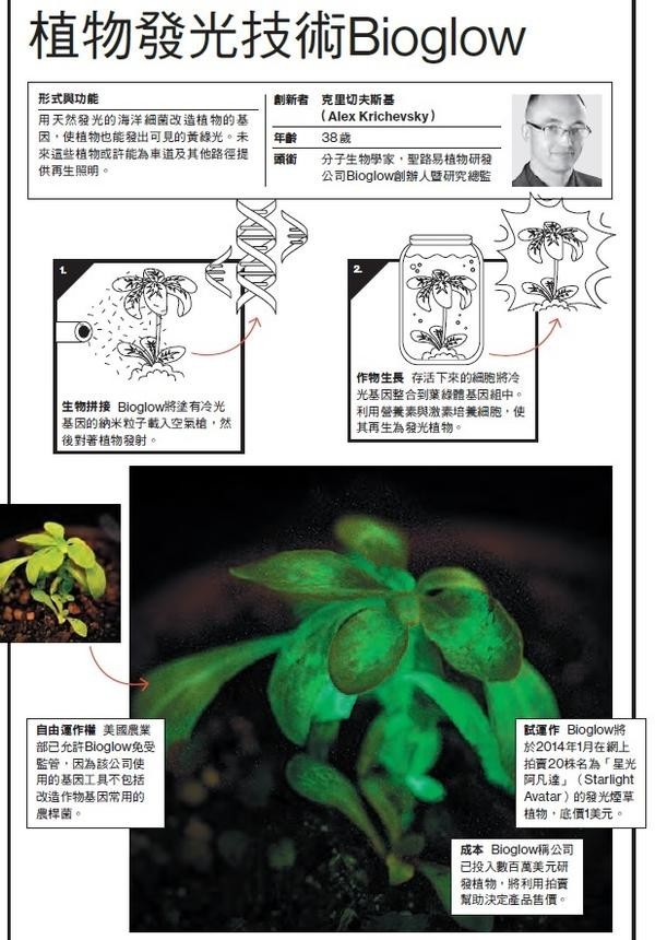 圖解看科技 Innovation創新 植物發光技術bioglow 科技生活 癮科技cool3c