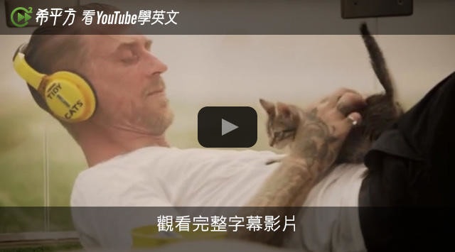 是壓力大嗎?試試貓咪紓壓法這篇文章的首圖